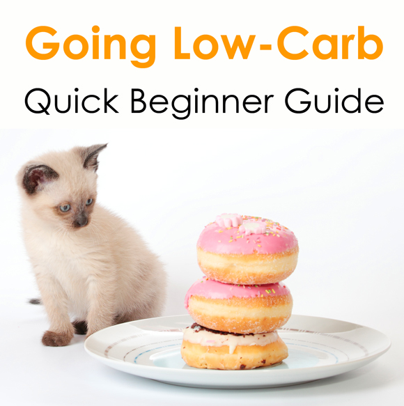 Low-carb diet beginner guides