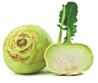 kohlrabi