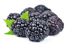 Blackberries