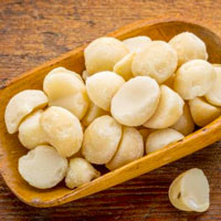 macadamia-high-fat-nuts